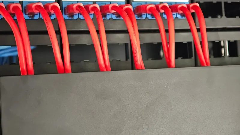 Patch panel con cableado estructurado